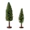 Mini Poplar Trees by Make Market&#xAE;